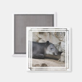 ベアードタピールマグネット マグネット (正面/裏面)