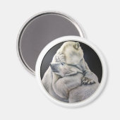 ベアーハグ マグネット (正面/裏面)