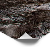 ベアーマウンテンブリッジ ポスター (コーナー)