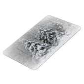 ベアーリバーの多年生庭園。ノルトンネソタ マグネット (左側)