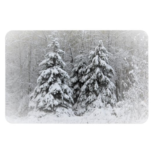 ベアーリバーの多年生庭園。ノルトンネソタ マグネット (横)