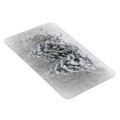 ベアーリバーの多年生庭園。ノルトンネソタ マグネット (右側)