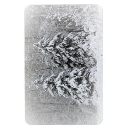 ベアーリバーの多年生庭園。ノルトンネソタ マグネット