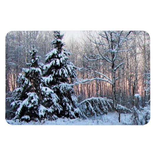 ベアーリバーの多年生庭園。ノルトンネソタ マグネット (横)