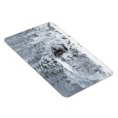 ベアーリバースタニアルガーデンズ マグネット (右側)