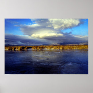 ベアーリバー ポスター