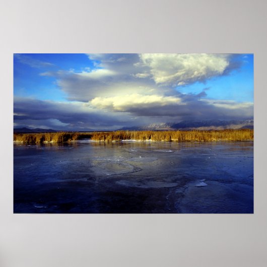 ベアーリバー ポスター (正面)