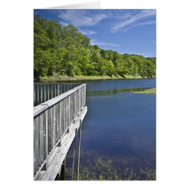 ベアーリバーNS (正面)