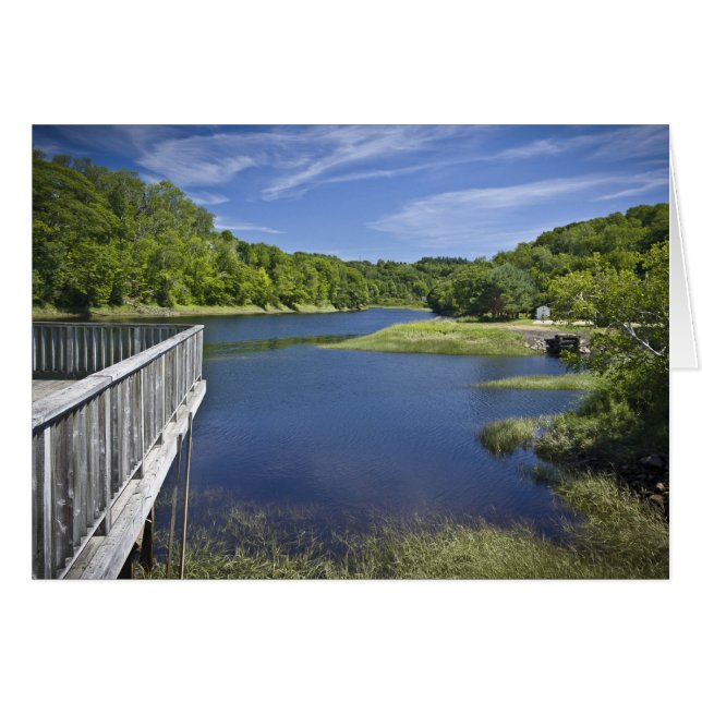 ベアーリバーNS (正面横)