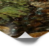 ベアーリバーTrout Pond, Newry Maine：穏やかな水 ポスター (コーナー)