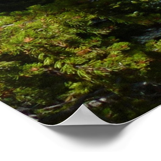 ベアーレイクアットロッキーマウンテン国立公園 ポスター (角)