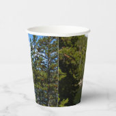ベアーレイクアットロッキーマウンテン国立公園 紙コップ (右)