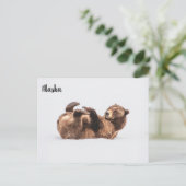 ベアーワイルドライフアラスカ ポストカード (スタンド正面)