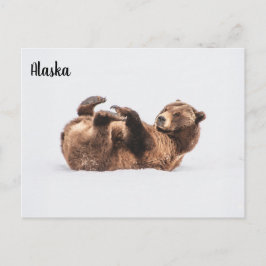 ベアーワイルドライフアラスカ ポストカード