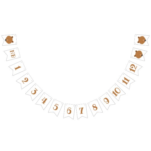ベアー月数の最初の誕生日 バンティングフラッグ (全)