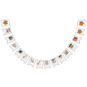 ベアー毎月のフォトファースト誕生日 バンティングフラッグ (全)