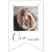 ベアー毎月のフォトファースト誕生日 バンティングフラッグ (第3の旗)