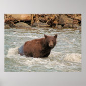 ベアー氏 ポスター (正面)