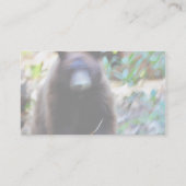 ベア攻撃 名刺 (裏面)