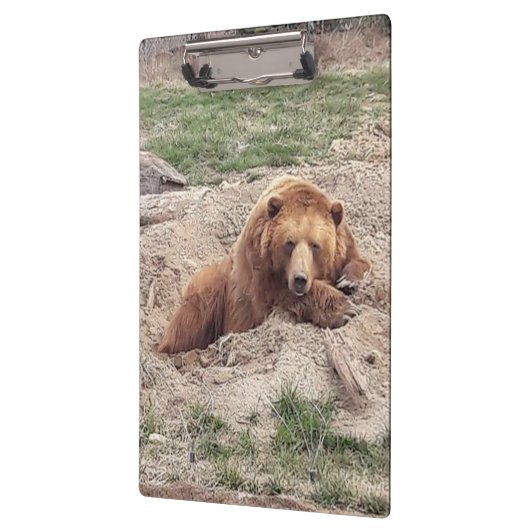 ベア昼寝 クリップボード (左)