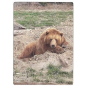 ベア昼寝 クリップボード (裏面)