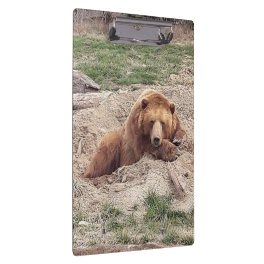 ベア昼寝 クリップボード (右)