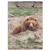 ベア昼寝 クリップボード (正面)