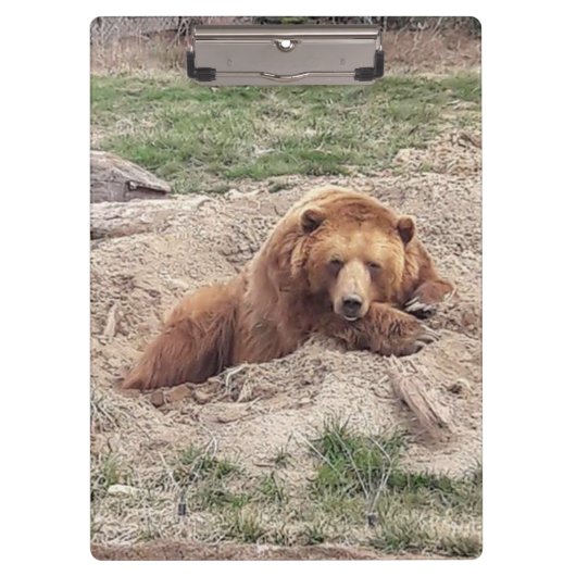 ベア昼寝 クリップボード (正面)