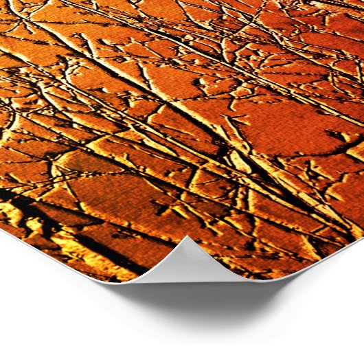 ベア樺の木ツリーブランチ抽象芸術 ポスター (角)