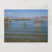 ベア湖 ポストカード (正面)