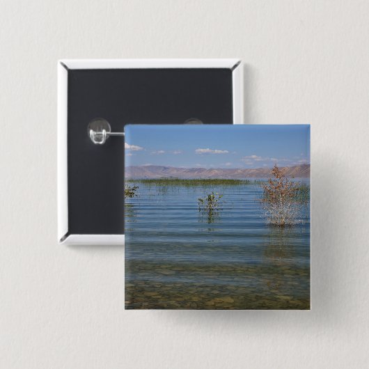 ベア湖 缶バッジ (正面&裏面)