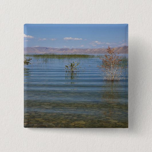 ベア湖 缶バッジ (正面)