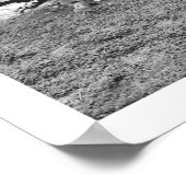 ベア狩りアラスカ1906 ポスター (角)