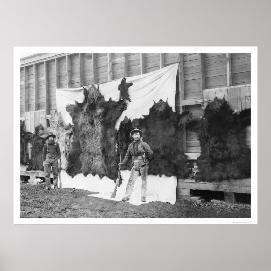 ベア狩りアラスカ1906 ポスター (正面)