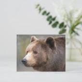 ベア顔 ポストカード (スタンド正面)