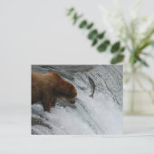 ベア魚釣りサーモン、ブルックス秋アラスカ ポストカード (スタンド正面)