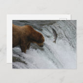 ベア魚釣りサーモン、ブルックス秋アラスカ ポストカード (正面/裏面)