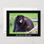 ベア（黒） ポストカード (正面/裏面)