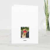 ベアNPラッシュハッピーバースデー! カード (裏面)