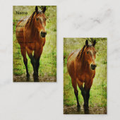 ベイおもしろいホース 名刺 (正面/裏面)