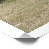 ベイとダンの馬の放牧 ポスター (角)