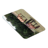 ベイとダンの馬の牧草地での放牧 マグネット (右側)