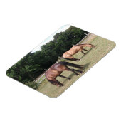 ベイとダンの馬の牧草地での放牧 マグネット (左側)