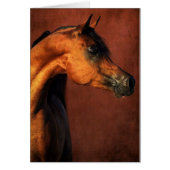 ベイアラビアンホース (正面)