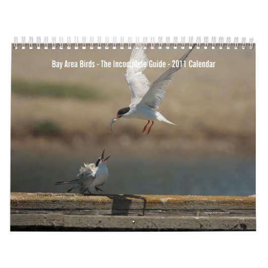 ベイエリア鳥カレンダー2011 カレンダー (カバー)