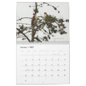 ベイエリア鳥カレンダー2011 カレンダー (1月 2027)