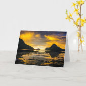ベイオブエルニドサンセット カード (黄色い花)