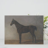 ベイギャルドホース（Albrecht Adam著） カード (スタンド正面)