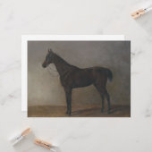 ベイギャルドホース（Albrecht Adam著） カード (正面/裏面インサイチュ)