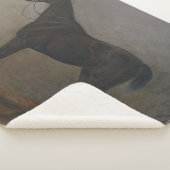 ベイギャルドホース（Albrecht Adam著） シェルパブランケット (3/4)